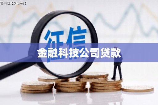 莱城金融科技公司贷款