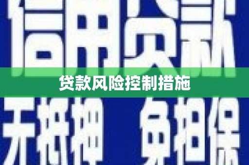 错那贷款风险控制措施
