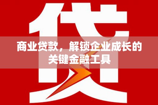 迪庆商业贷款，解锁企业成长的关键金融工具