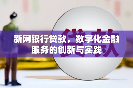 信州新网银行贷款，数字化金融服务的创新与实践