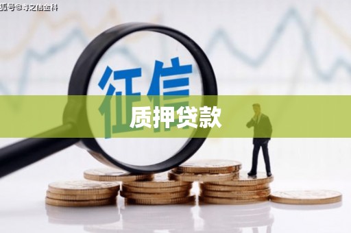 水里质押贷款