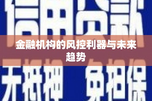 阜沙金融机构的风控利器与未来趋势