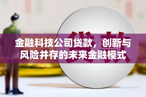韶关金融科技公司贷款，创新与风险并存的未来金融模式