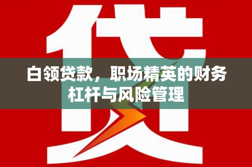 静宁白领贷款，职场精英的财务杠杆与风险管理
