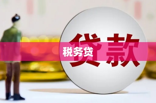 临澧税务贷