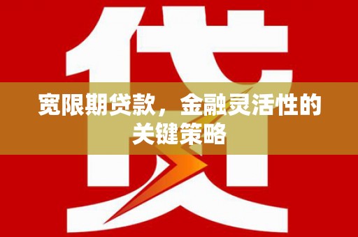 秦皇岛宽限期贷款，金融灵活性的关键策略