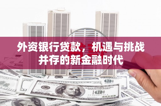 平舆外资银行贷款，机遇与挑战并存的新金融时代