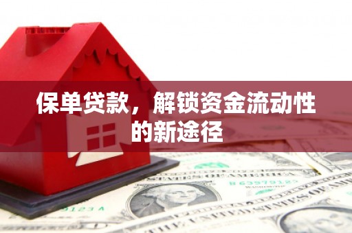 巩义保单贷款，解锁资金流动性的新途径