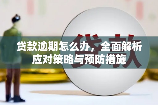 秭归贷款逾期怎么办，全面解析应对策略与预防措施