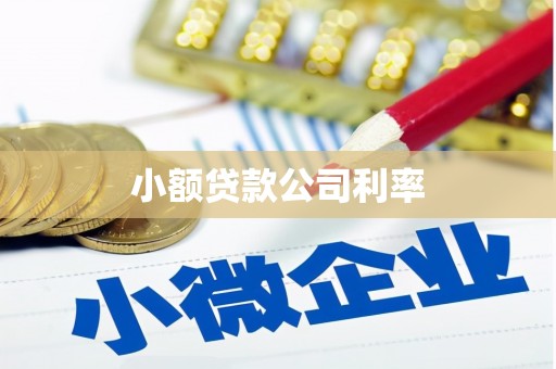 薛城小额贷款公司利率