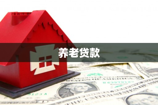 志丹养老贷款