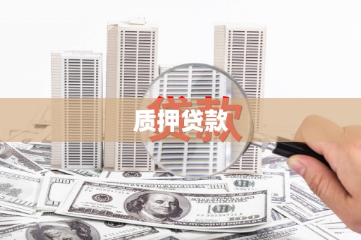 泰顺质押贷款