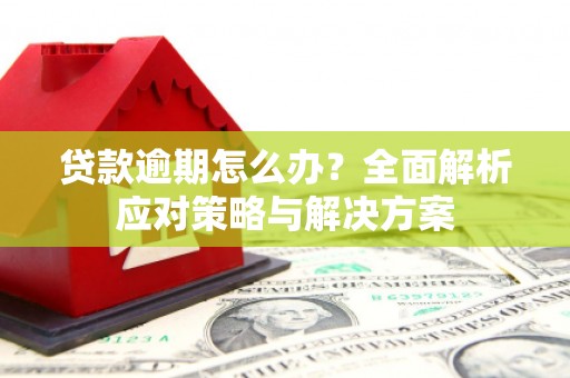 东乌旗贷款逾期怎么办？全面解析应对策略与解决方案
