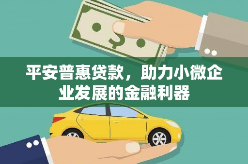上林平安普惠贷款，助力小微企业发展的金融利器