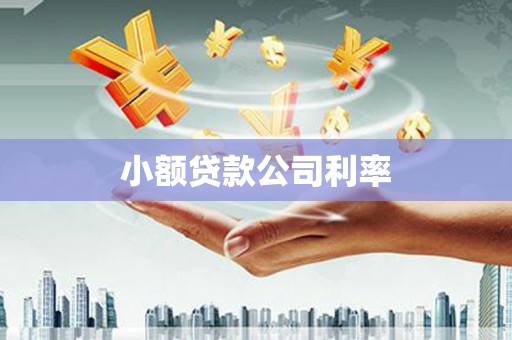 贾汪小额贷款公司利率