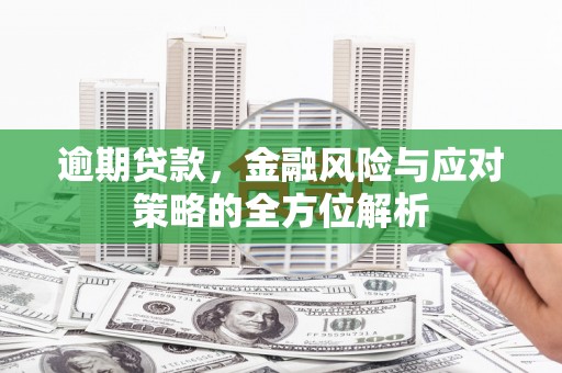 兴庆逾期贷款，金融风险与应对策略的全方位解析