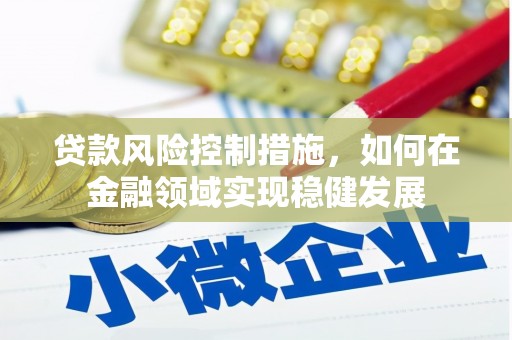巴青贷款风险控制措施，如何在金融领域实现稳健发展