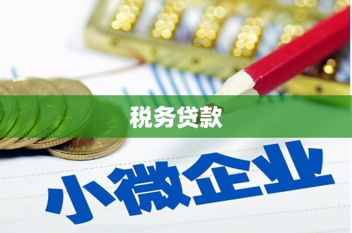 恒春税务贷款