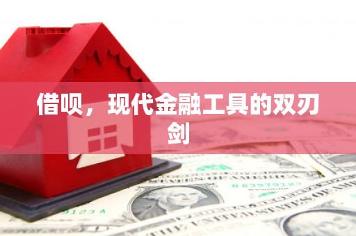 南郊借呗，现代金融工具的双刃剑