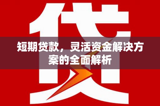 社旗短期贷款，灵活资金解决方案的全面解析