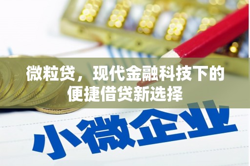 黔东南微粒贷，现代金融科技下的便捷借贷新选择
