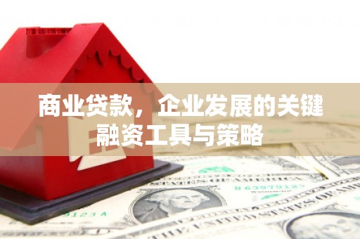 岚皋商业贷款，企业发展的关键融资工具与策略
