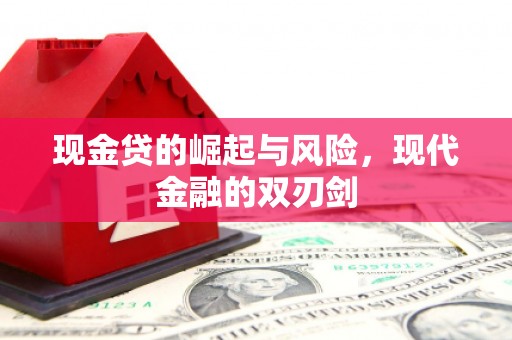 玄武现金贷的崛起与风险，现代金融的双刃剑