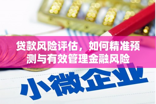 白河贷款风险评估，如何精准预测与有效管理金融风险