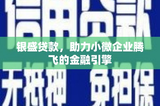 蒲城银盛贷款，助力小微企业腾飞的金融引擎