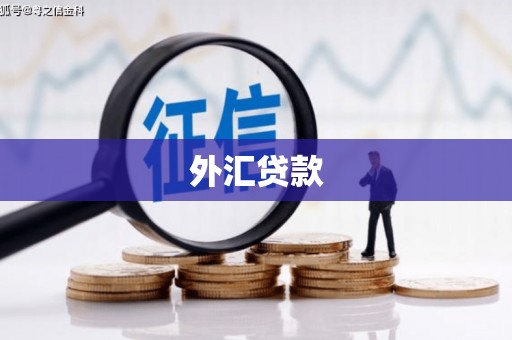 红星外汇贷款