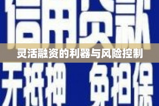 思南灵活融资的利器与风险控制