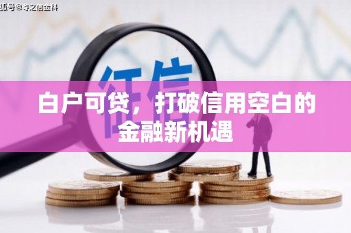 邓州白户可贷，打破信用空白的金融新机遇