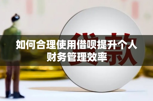 花坛如何合理使用借呗提升个人财务管理效率