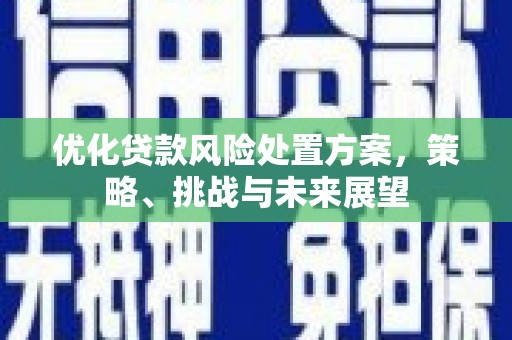 齐齐哈尔优化贷款风险处置方案，策略、挑战与未来展望