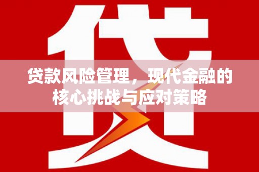 民和贷款风险管理，现代金融的核心挑战与应对策略
