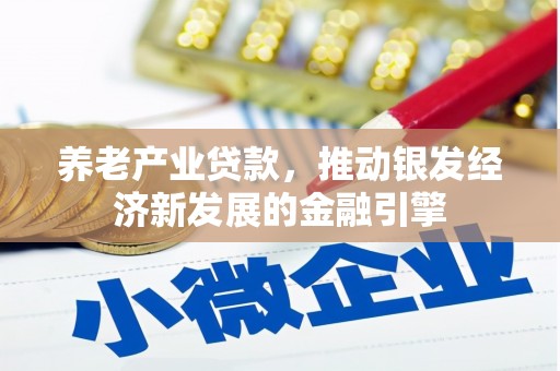 宝兴养老产业贷款，推动银发经济新发展的金融引擎