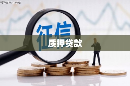 新北质押贷款