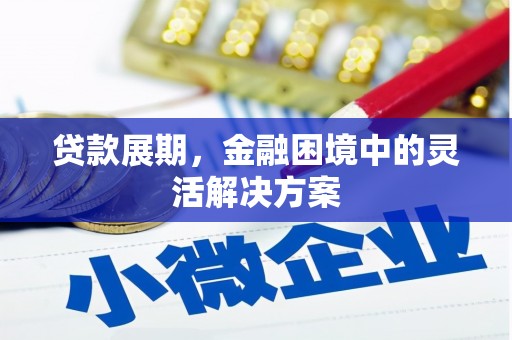 庄浪贷款展期，金融困境中的灵活解决方案