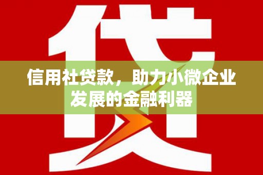 雷州信用社贷款，助力小微企业发展的金融利器