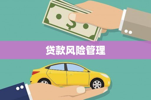 琼结贷款风险管理