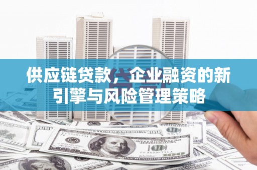 靖西供应链贷款，企业融资的新引擎与风险管理策略