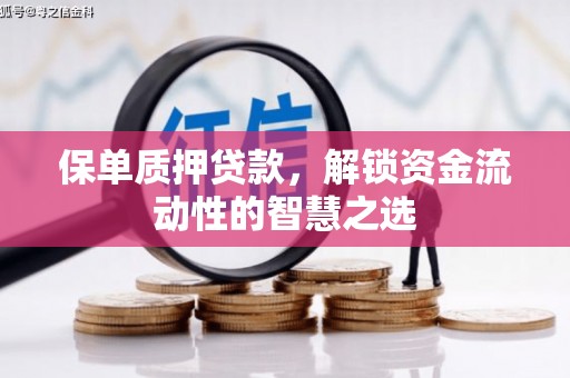 雾台保单质押贷款，解锁资金流动性的智慧之选