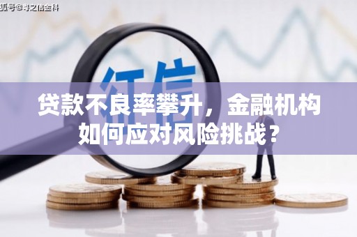集集贷款不良率攀升，金融机构如何应对风险挑战？