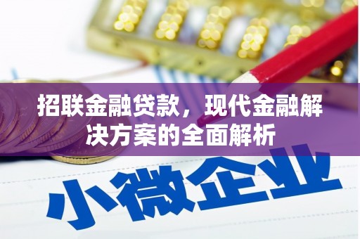 海南招联金融贷款，现代金融解决方案的全面解析