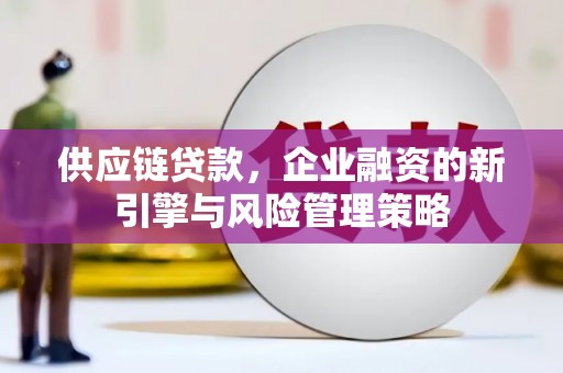 卢龙供应链贷款，企业融资的新引擎与风险管理策略