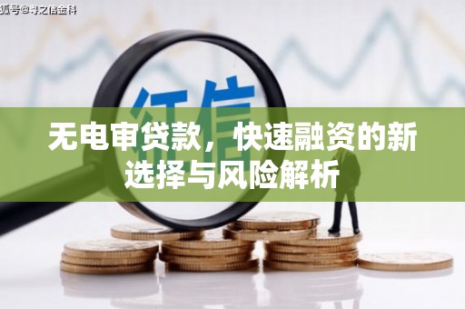 丽水无电审贷款，快速融资的新选择与风险解析