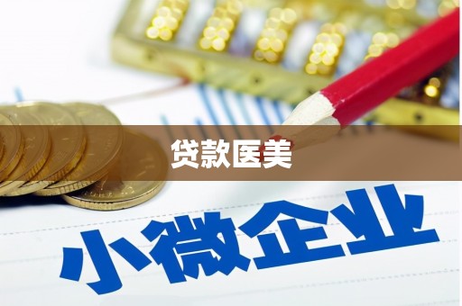 二水贷款医美