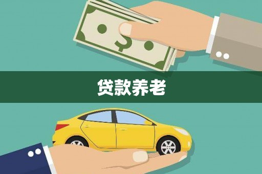 盐边贷款养老