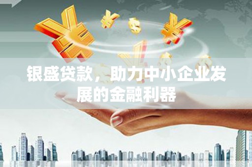 赵县银盛贷款，助力中小企业发展的金融利器