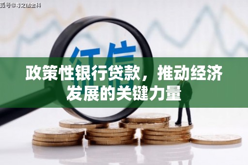 绥中政策性银行贷款，推动经济发展的关键力量